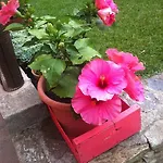 Villa Giuanne *