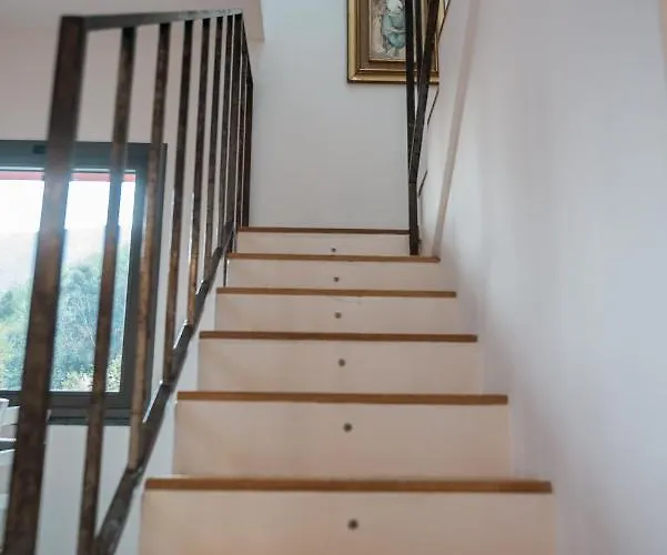 Giuanne 아렌자노