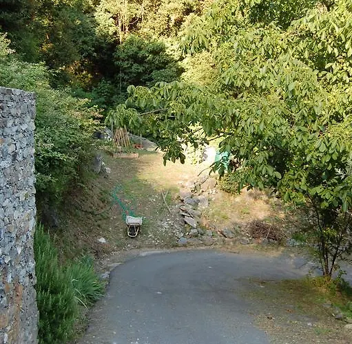 Giuanne * 아렌자노